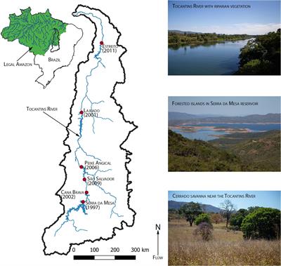 Cumulative Impacts of Land Cover Change and Dams on the Land–Water Interface of the Tocantins River